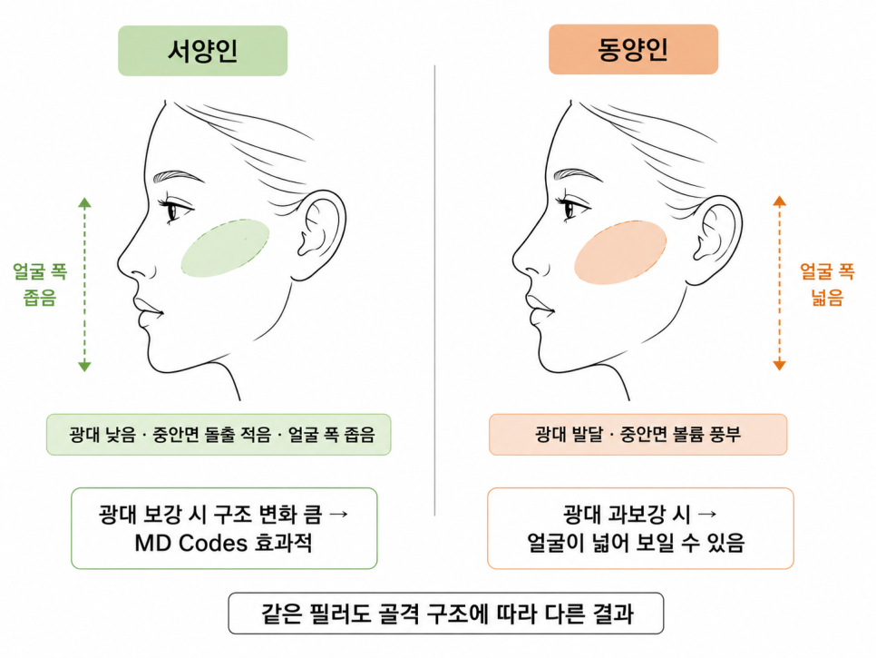 같은 자리에 같은 양을 넣어도 골격이 다르면 결과가 다릅니다.