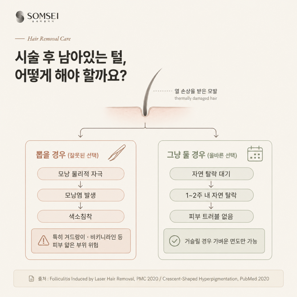 시술 후 남아있는 털 처리 방법